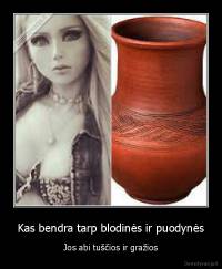 Kas bendra tarp blodinės ir puodynės - Jos abi tuščios ir gražios
