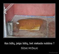 Kas būtų, jeigu būtų, bet niekada nubūna ? - ŠŪDAI MYŽALAI
