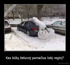 Kas būtų lietuvoj pamačius tokį reginį? - 