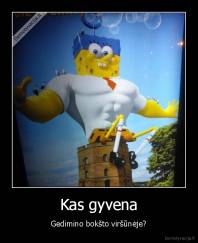 Kas gyvena - Gedimino bokšto viršūnėje?