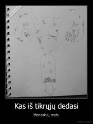Kas iš tikrųjų dedasi - Mėnesinių metu