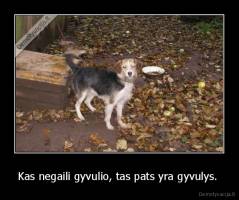 Kas negaili gyvulio, tas pats yra gyvulys.  - 