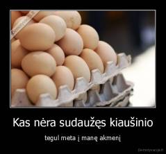 Kas nėra sudaužęs kiaušinio - tegul meta į manę akmenį