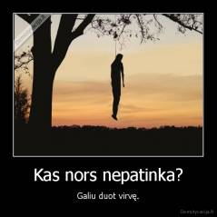 Kas nors nepatinka? - Galiu duot virvę.