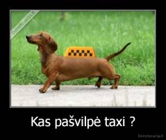 Kas pašvilpė taxi ? - 