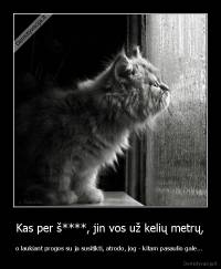 Kas per š****, jin vos už kelių metrų, - o laukiant progos su ja susitikti, atrodo, jog - kitam pasaulio gale... 