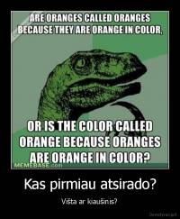 Kas pirmiau atsirado? - Višta ar kiaušinis?