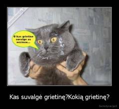 Kas suvalgė grietinę?Kokią grietinę? - 