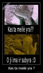 Kas ta meilė yra ? - 