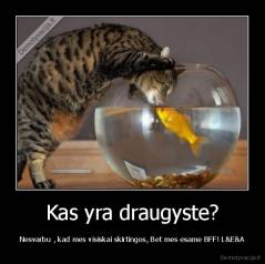 Kas yra draugyste? - Nesvarbu , kad mes visiskai skirtingos, Bet mes esame BFF! L&E&A