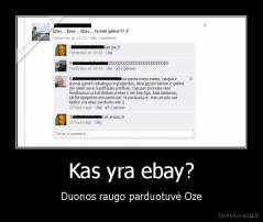 Kas yra ebay? - Duonos raugo parduotuvė Oze