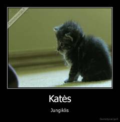 Katės - Jungiklis