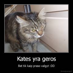 Kates yra geros - Bet tik kaip praso valgyt :DD