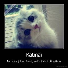 Katinai - Jie moka įtikinti žaisti, kad ir kaip tu tingėtum