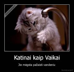 Katinai kaip Vaikai - Jie mėgsta pažaisti vandeniu