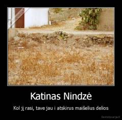 Katinas Nindzė - Kol jį rasi, tave jau i atskirus maišelius delios