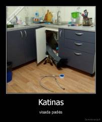 Katinas - visada padės