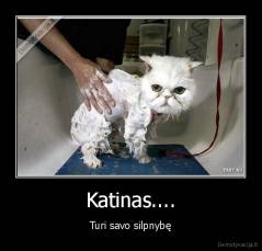 Katinas.... - Turi savo silpnybę