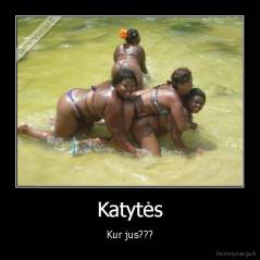 Katytės - Kur jus???