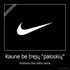 Kaune be trejų "paloskių" - Amžiams liksi balta varna