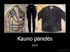Kauno panelės - 2013