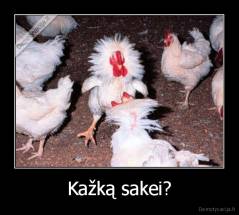 Kažką sakei? - 