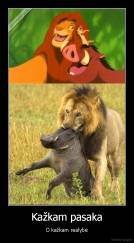 Kažkam pasaka - O kažkam realybė