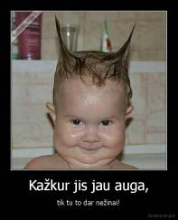 Kažkur jis jau auga, - tik tu to dar nežinai!