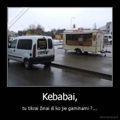 Kebabai, - tu tikrai žinai iš ko jie gaminami ?...