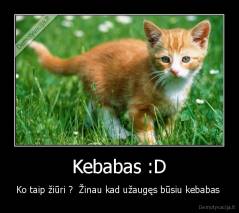 Kebabas :D - Ko taip žiūri ?  Žinau kad užaugęs būsiu kebabas 