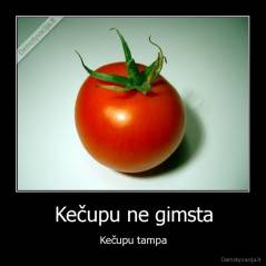 Kečupu ne gimsta - Kečupu tampa