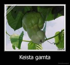 Keista gamta - 