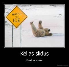 Kelias slidus - Gaidina visus