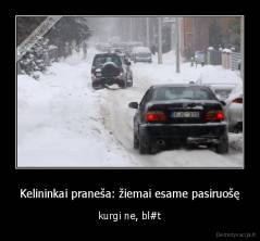 Kelininkai praneša: žiemai esame pasiruošę - kurgi ne, bl#t