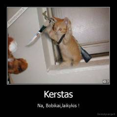 Kerstas - Na, Bobikai,laikykis !