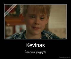 Kevinas - Šiandien jis grįžta