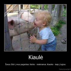 Kiaulė - Šunys žiūri į mus pagarbiai. Katės - niekinamai. Kiaulės - kaip į lygius.