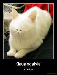 Kiausingalviai - CAT edition