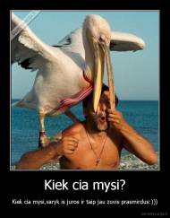Kiek cia mysi? - Kiek cia mysi,varyk is juros ir taip jau zuvis prasmirdus:)))