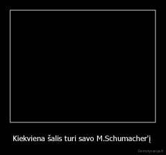 Kiekviena šalis turi savo M.Schumacher'į  - 
