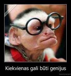 Kiekvienas gali būti genijus - 
