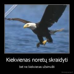 Kiekvienas noretų skraidyti - bet ne kiekvienas užsimušti
