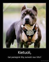 Kietuoli, - Gal pamėgink šitą numesti nuo tilto?