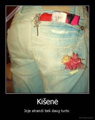 Kišenė - Joje atrandi tiek daug turto 