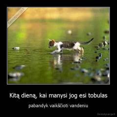 Kitą dieną, kai manysi jog esi tobulas - pabandyk vaikščioti vandeniu