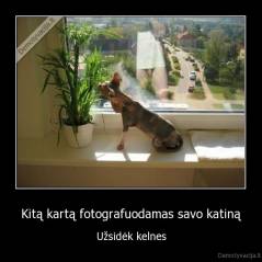 Kitą kartą fotografuodamas savo katiną - Užsidėk kelnes