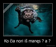 Ko čia nori iš manęs ? a ?  - 