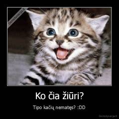 Ko čia žiūri? - Tipo kačių nematęs? :DD