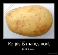 Ko jūs iš manęs norit - Aš tik bulvė...