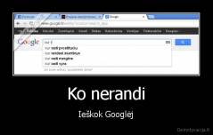 Ko nerandi - Ieškok Googlėj